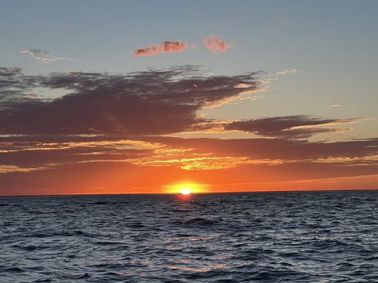 Fish Creek Scenic Boat Tours by null