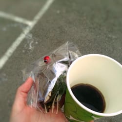 Sjokoladebiten - Markedsdag i Bogstadveien, serverte Sjokoladebiten kaffe og sjokoladekake. Var så heldig å få med meg!;-) PS: marihøna bringer lykke