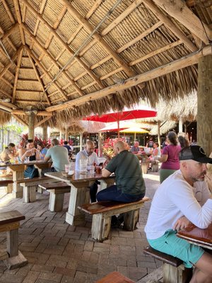 Monty's Coconut Grove by null