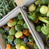 Galena KS Farmer's Market gift card