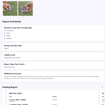 Tails Up - summary of events with feeding report at bottom - Pet Boarding Near Me - Castle Rock, Colorado