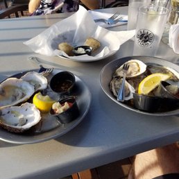 Oysters Oysters