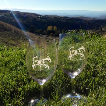Big Dog Vineyards - Wine glasses and the amazing view - Venues & Event Spaces Near Me - Milpitas, California