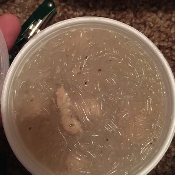 Every Day Kine Grindz From Hawaii - Glass noodles, black pepper, chicken, broth.  Like a really really good rendition of chicken noodle soup. - Food Trucks Near Me - Eugene, Oregon