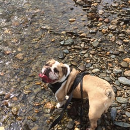 Playing in the river out back. Playing in the river out back.