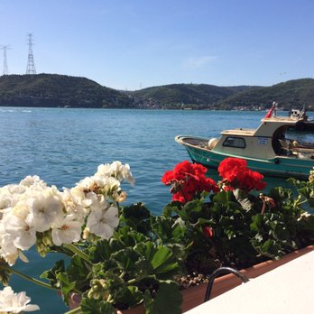 Yosun Restaurant - Seafood Near Me - Istanbul, 34 Yosun Restaurant - Seafood Near Me - Istanbul, 34