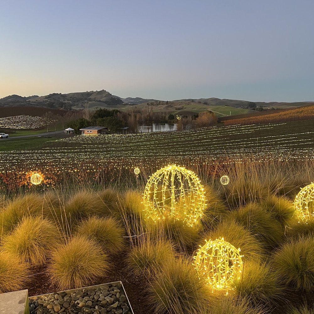 Cuvaison - Bright Nights - Wineries Near Me - Napa, California