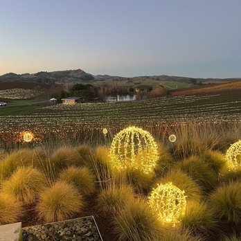 Cuvaison - Bright Nights - Wineries Near Me - Napa, California