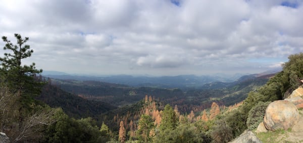 Kings Canyon Visitor Center by null