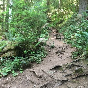 Mount Storm King - Hiking Near Me - Port Angeles, Washington Mount Storm King - Hiking Near Me - Port Angeles, Washington