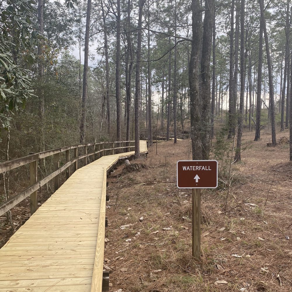 Falling Waters State Park - Parks Near Me - Chipley, Florida Falling Waters State Park - Parks Near Me - Chipley, Florida
