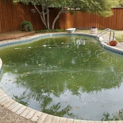 King Pool Care - It's pollen season