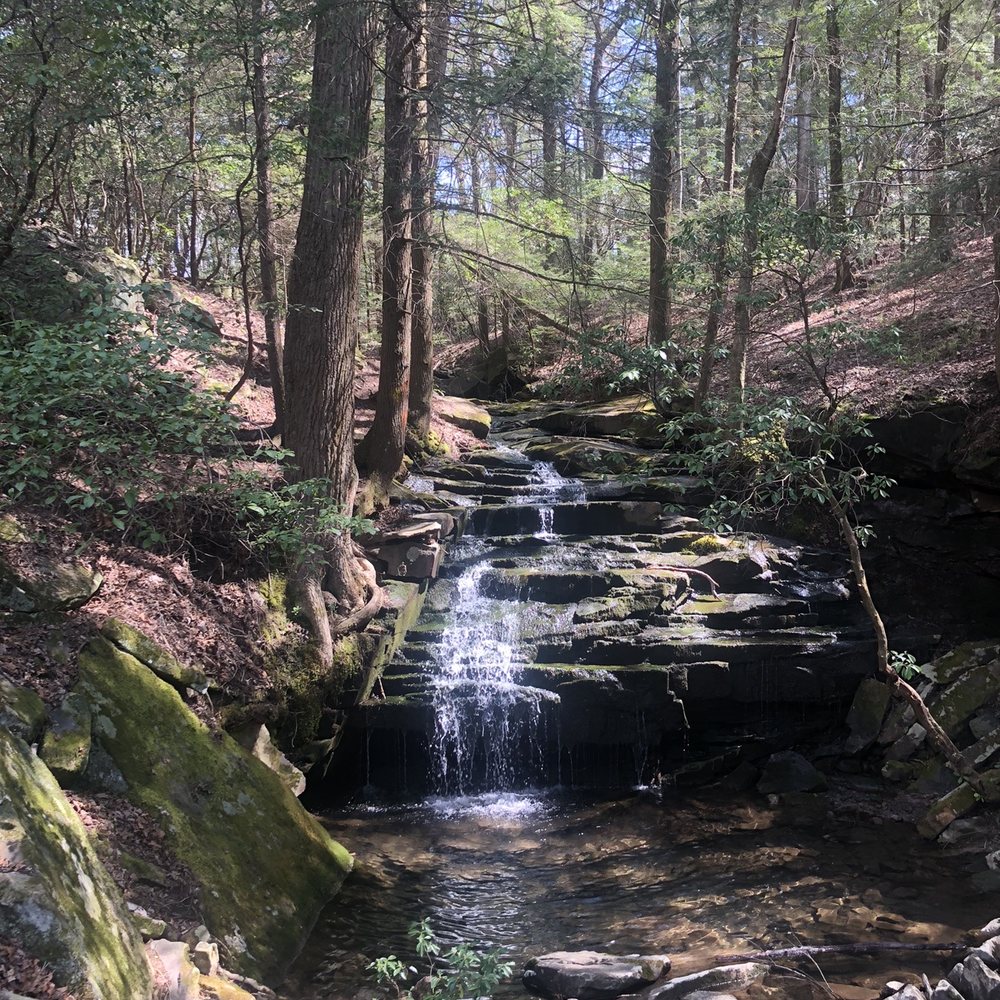Virgin Falls State Natural Area - Big Branch Falls - Hiking Near Me - Sparta, Tennessee Virgin Falls State Natural Area - Big Branch Falls - Hiking Near Me - Sparta, Tennessee