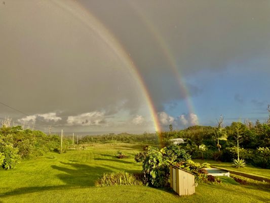 Puna Rainforest Retreat: Hot springs and steam vents by null