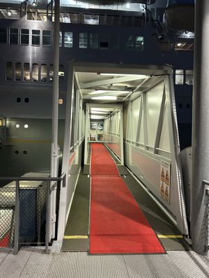 SS Rotterdam by null