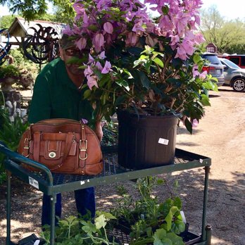 Enchanted Gardens - My purchases! Getting that beautiful bougainvillea in my daughters tiny car was fun - Nurseries & Gardening Near Me - Richmond, Texas