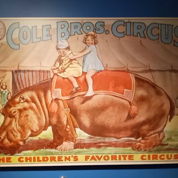 The Ringling - A lost world. - Art Museums Near Me - Sarasota, Florida The Ringling - A lost world. - Art Museums Near Me - Sarasota, Florida