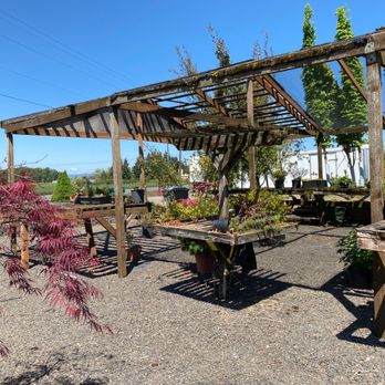 Secret Garden Growers - Nurseries & Gardening Near Me - Canby, Oregon Secret Garden Growers - Nurseries & Gardening Near Me - Canby, Oregon