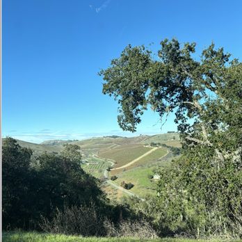 Alta Colina - Vineyard - Wineries Near Me - Paso Robles, California