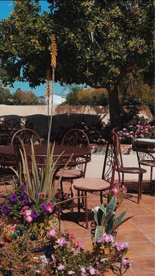 Rancho de Tia Rosa by null