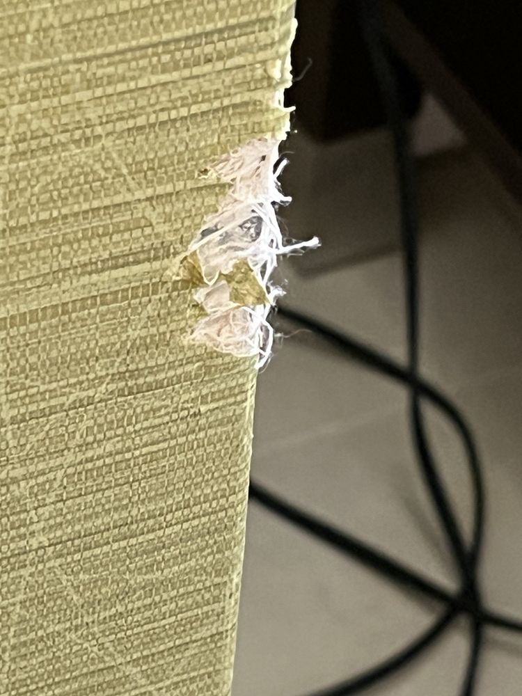 Holiday Inn Springdale/Fayetteville Area - wedding in Springdale, AR