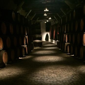 Sandeman - Wineries Near Me - Vila Nova de Gaia, 13