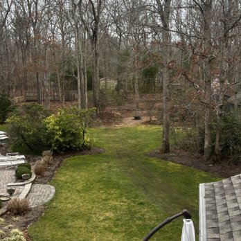 Fredy's Tree Services - After Bamboo is removed - Tree Services Near Me - Mays Landing, New Jersey Fredy's Tree Services - After Bamboo is removed - Tree Services Near Me - Mays Landing, New Jersey