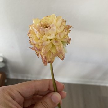 Flowerful - Florists Near Me - Laguna Woods, California