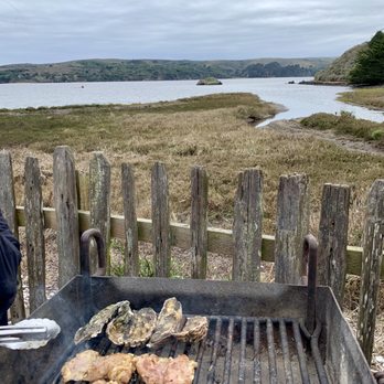 Hog Island Oyster - BBQ picnic view - Seafood Near Me - Marshall, California