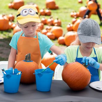 Elisa Brosius Events - Pumpkin Painting - Party & Event Planning Near Me Elisa Brosius Events - Pumpkin Painting - Party & Event Planning Near Me
