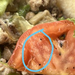 Perros Brothers Gyros - Black hair on tomato