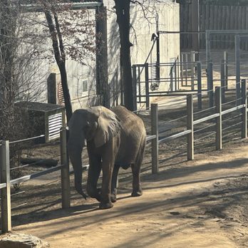 Maryland Zoo in Baltimore - Zoos Near Me - Baltimore, Maryland