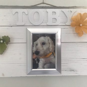 Lap of Love - This hangs in the kitchen above where his bed was. - Veterinarians Near Me Lap of Love - This hangs in the kitchen above where his bed was. - Veterinarians Near Me