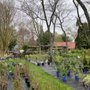 Photo of Cape Shore Gardens Nursery