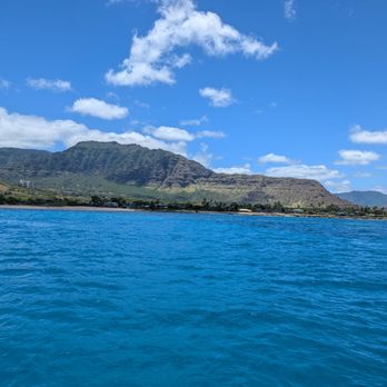 Dolphins and You - Boat Charters Near Me - Honolulu, Hawaii Dolphins and You - Boat Charters Near Me - Honolulu, Hawaii
