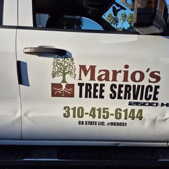 Mario's Tree Service & Stump Grinding - Tree Services Near Me - Long Beach, California Mario's Tree Service & Stump Grinding - Tree Services Near Me - Long Beach, California