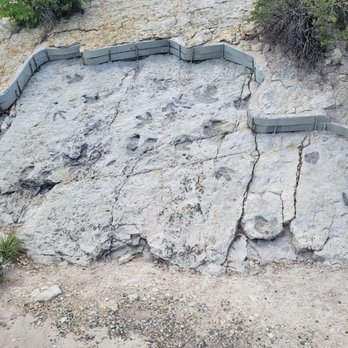 Dinosaur Ridge - One of the smaller footprint exhibits on display - Museums Near Me - Morrison, Colorado