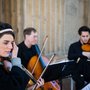 Photo of Aleron Strings