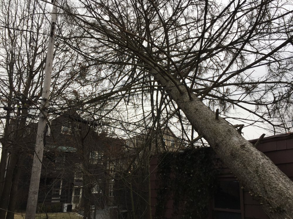 Brown's Tree Service - tree service in Cleveland, OH