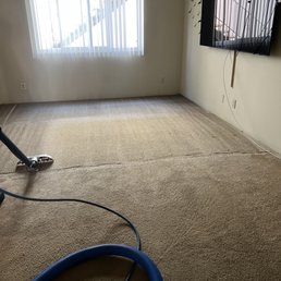 Carpet is refreshed, smells so clean, all stains lifted.