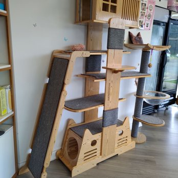 Meow Club - Cat tree - Pet Boarding Near Me - Markham, Ontario Meow Club - Cat tree - Pet Boarding Near Me - Markham, Ontario