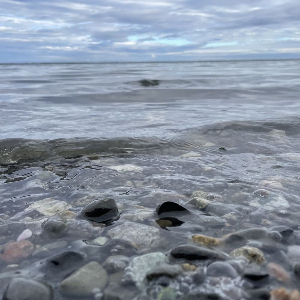 Juan De Fuca Cottages - Hotels Near Me - Sequim, Washington Juan De Fuca Cottages - Hotels Near Me - Sequim, Washington