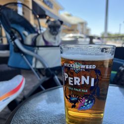 1845 Tap House - Lagunita IPA