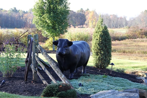 The Country Butcher by null