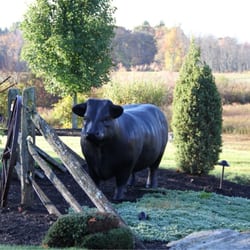 The Country Butcher at Spring Meadow Farm