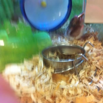 PetSmart - Hamster drinking water - Pet Stores Near Me - San Leandro, California PetSmart - Hamster drinking water - Pet Stores Near Me - San Leandro, California