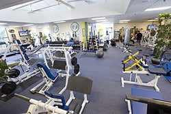 Fitness Evolution Image
