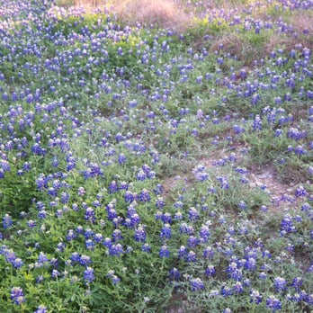 Brushy Creek Regional Trail - Hiking Near Me - Cedar Park, Texas Brushy Creek Regional Trail - Hiking Near Me - Cedar Park, Texas