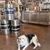 Valley Brewers gift card