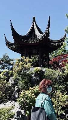 A Wok Around Chinatown by null